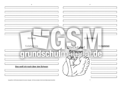 Schwan-Faltbuch-vierseitig-2.pdf